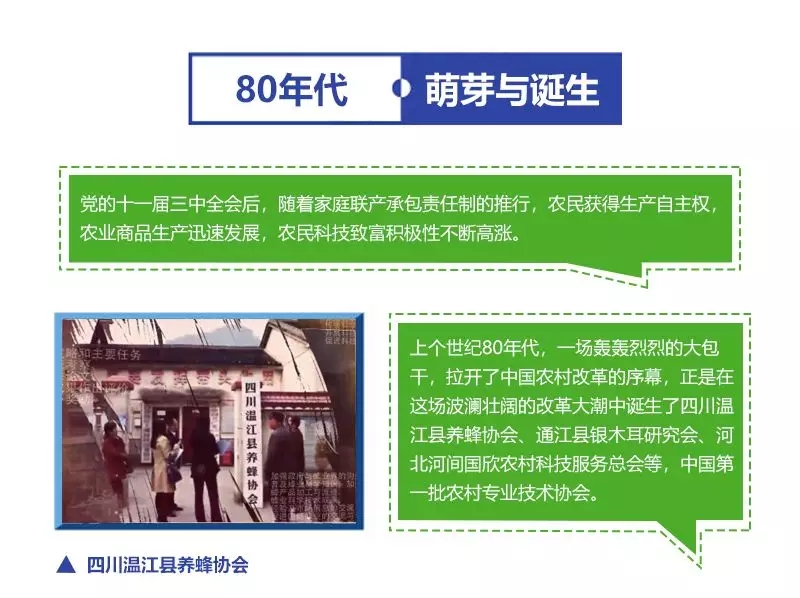 2.webp.jpg 2.webp.jpg