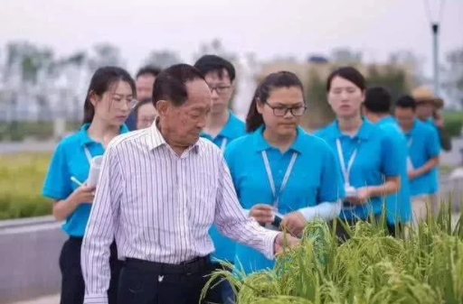 1591319036(1).jpg 1591319036(1).jpg