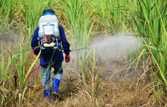 1599183748(1).jpg 1599183748(1).jpg