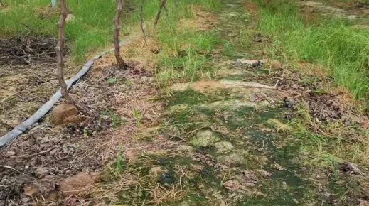 1604111687(1).jpg 1604111687(1).jpg