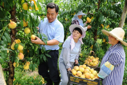 1605489813(1).jpg 1605489813(1).jpg