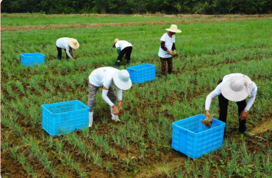 1605489867(1).jpg 1605489867(1).jpg