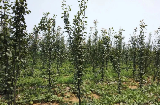 1605663819(1).jpg 1605663819(1).jpg