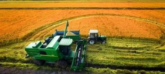 1605748086(1).jpg 1605748086(1).jpg