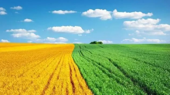 1605748108(1).jpg 1605748108(1).jpg