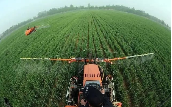 1605748194.jpg 1605748194.jpg