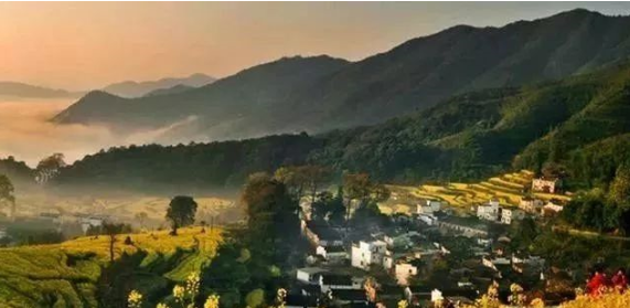 1605750979(1).jpg 1605750979(1).jpg