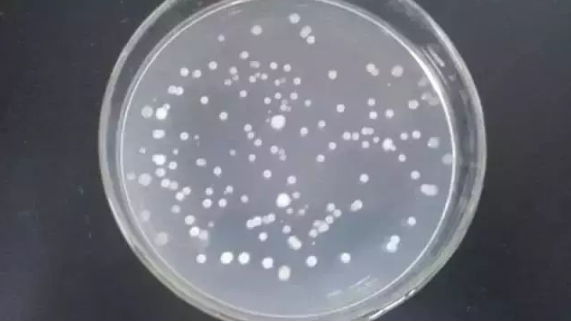 1606294663(1).jpg 1606294663(1).jpg