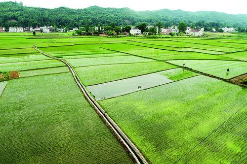 9ed2fa871fcd87eb(1).jpg 9ed2fa871fcd87eb(1).jpg