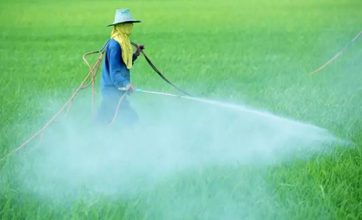 1606529996(1).jpg 1606529996(1).jpg