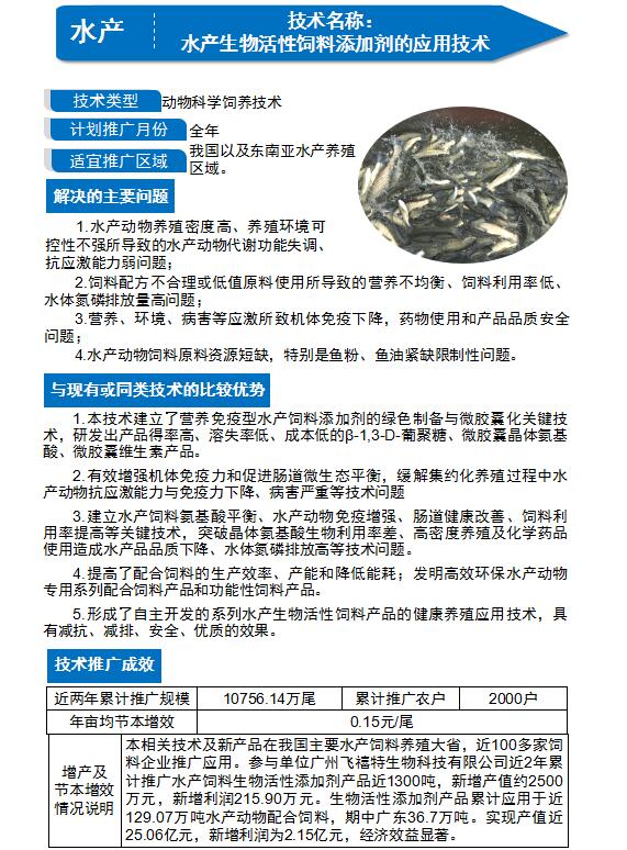 3056702.jpg 3056702.jpg