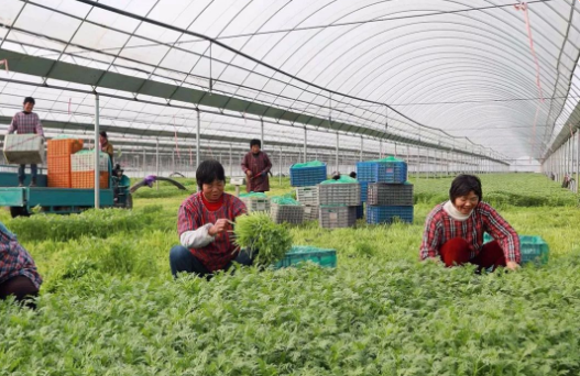 1607323683(1).jpg 1607323683(1).jpg