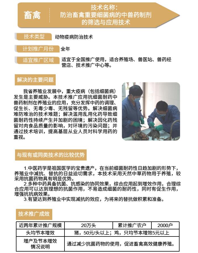 3056358.jpg 3056358.jpg