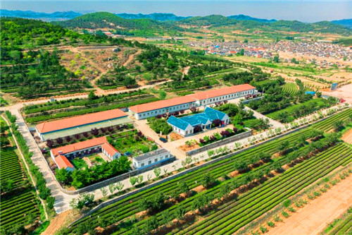 特色品牌】.jpg 特色品牌】.jpg